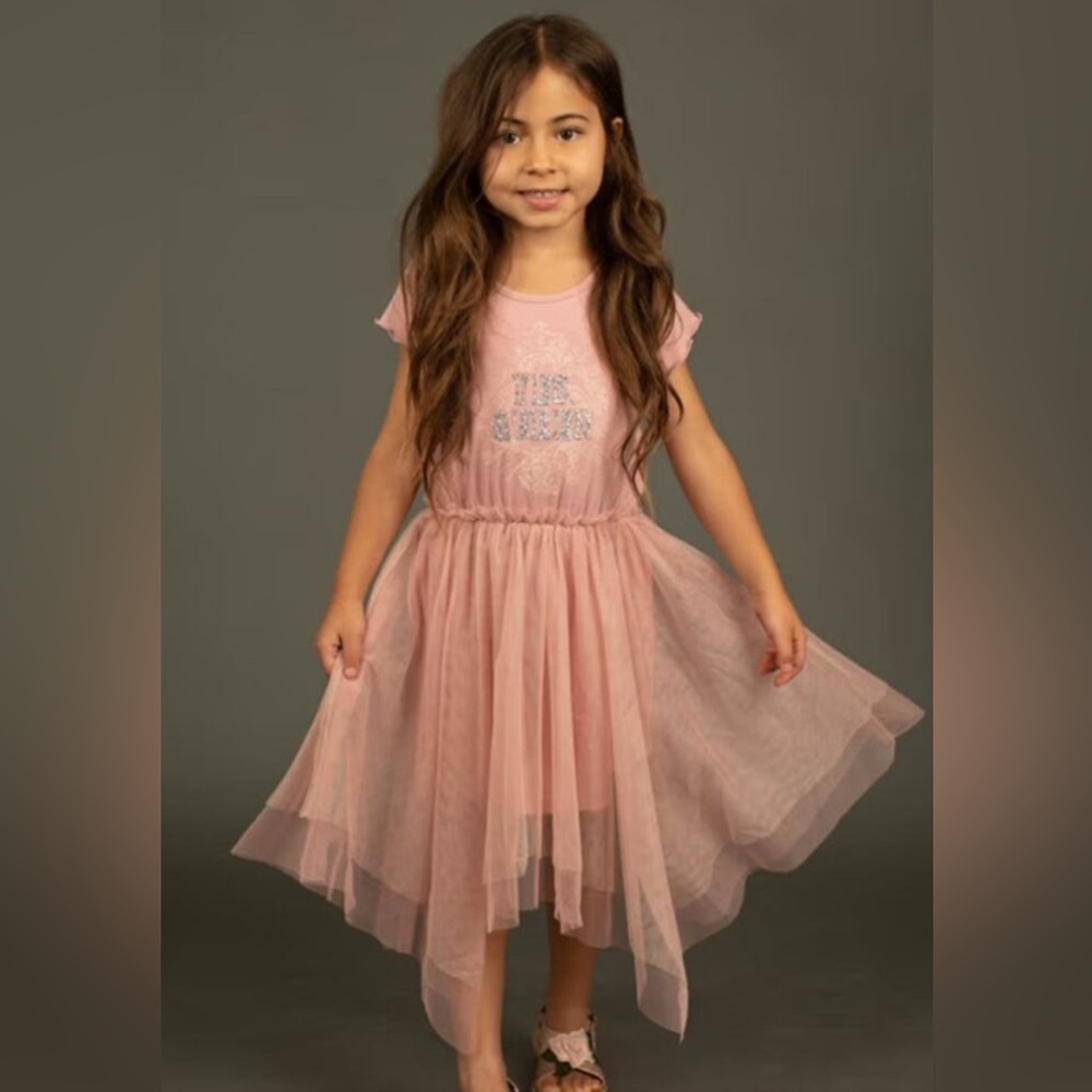 Joyfolie Feya Dress Blush Girls 12 NWT Tulle Overlay Handkerchief Ruffle